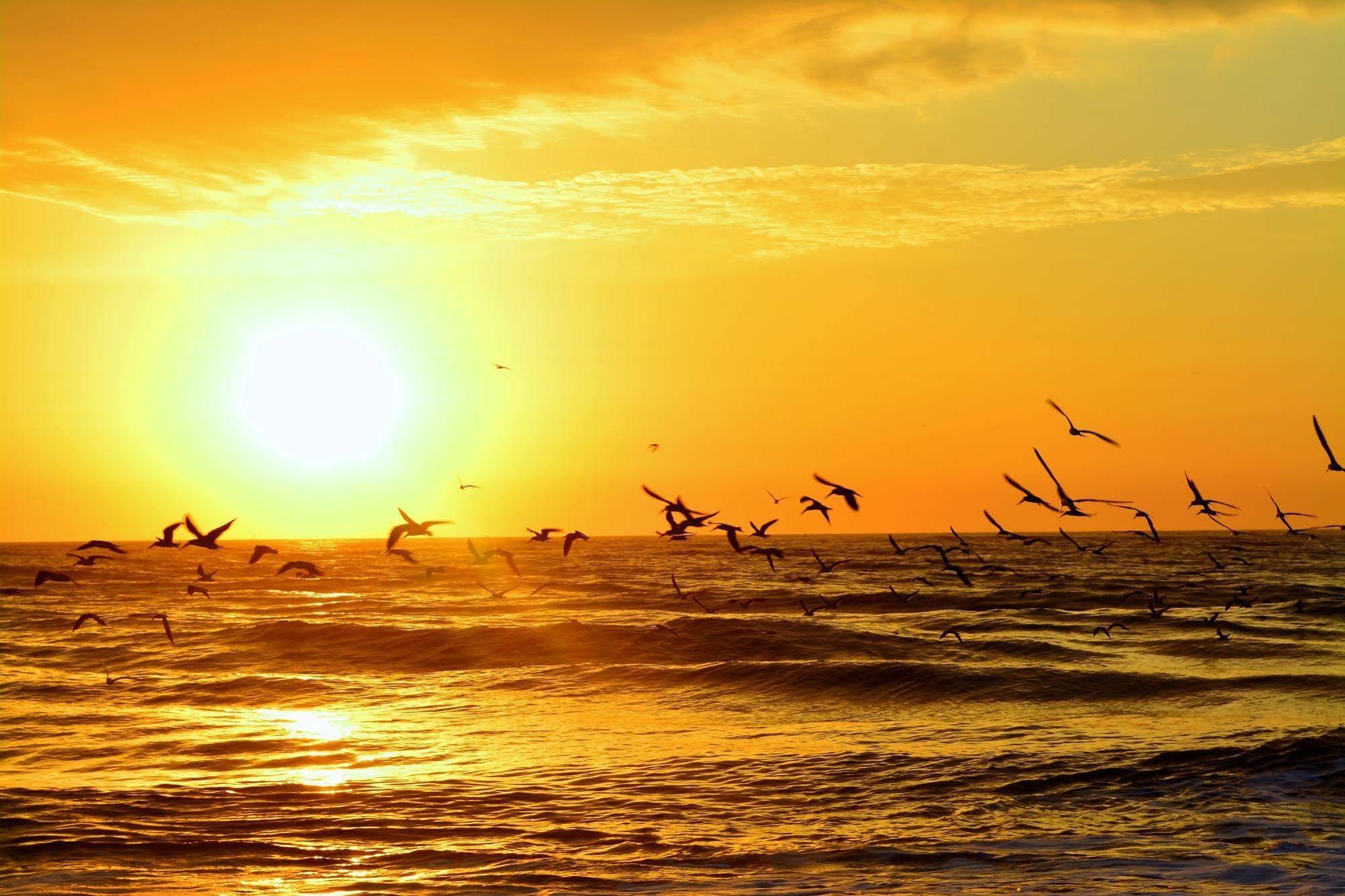 The Saint Augustine Beach House Bagian luar foto